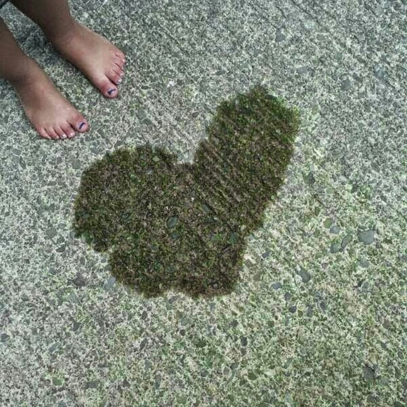 Meet your Posher, Gothica - Picture 1 of 1